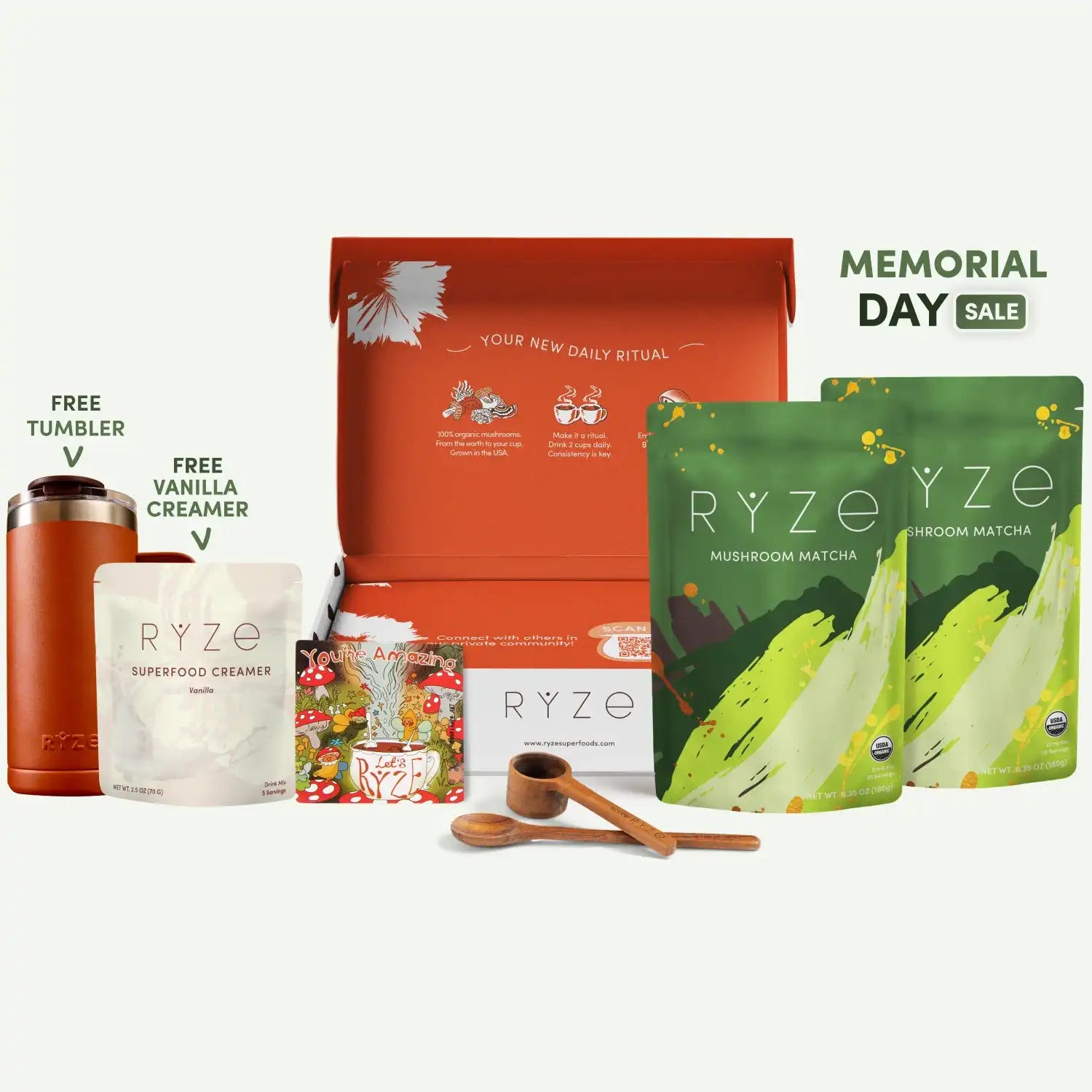 Mushroom Matcha Starter Kit (60 Servings) - Ready Morning Cup